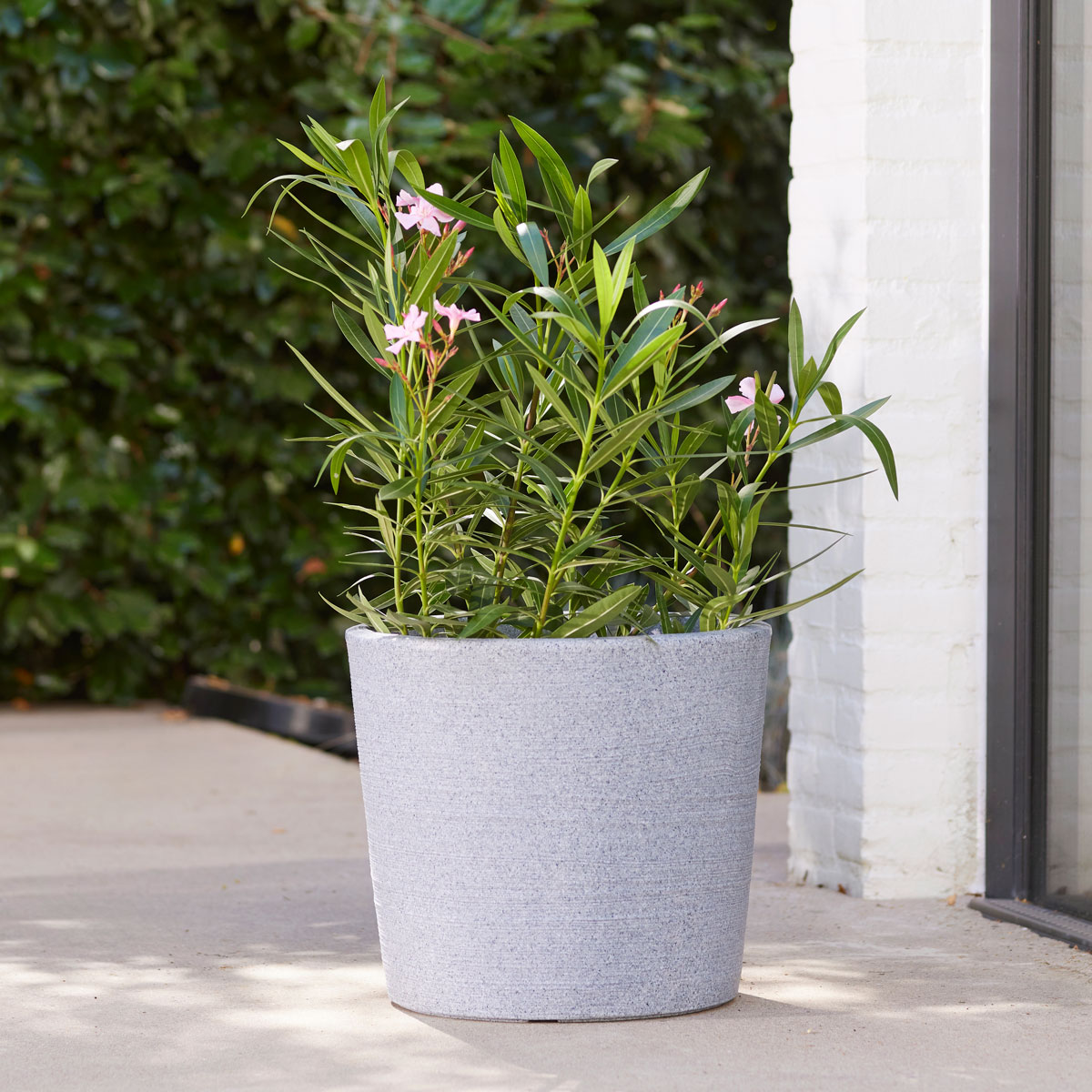 鉢・プランター neighborhood SRL NARROW TYPE PLANT POT 570051new2025.jpg