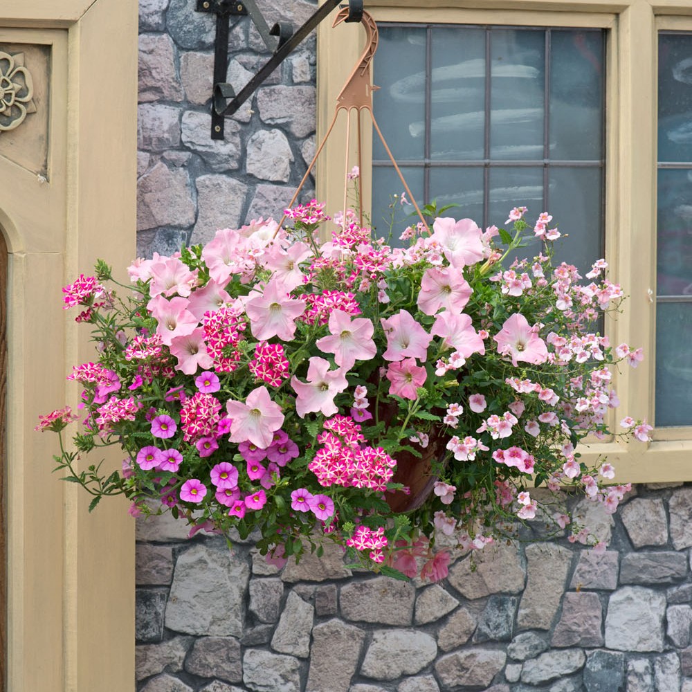 Bridal Bouquet EasiPlant Basket | 30cm Hanging Basket Speed Planter
