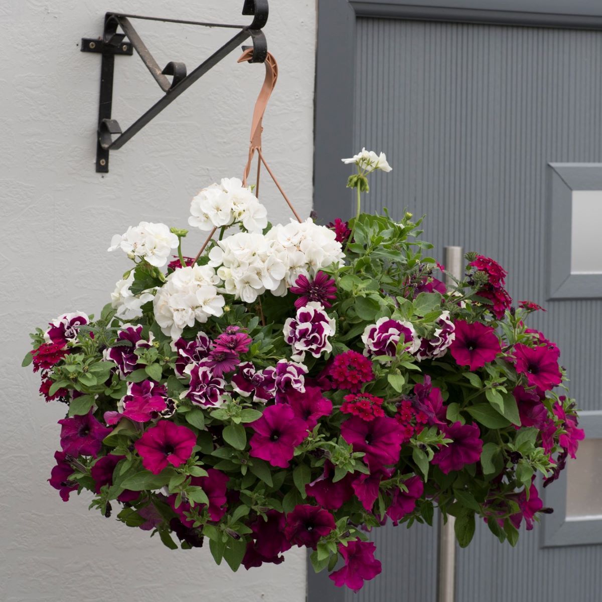 Berry_20Swirl_20Basket_20resiz