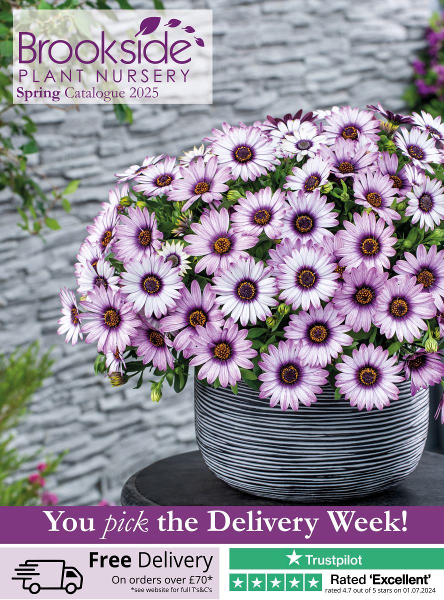 Brookside Nursery Spring Catalogue