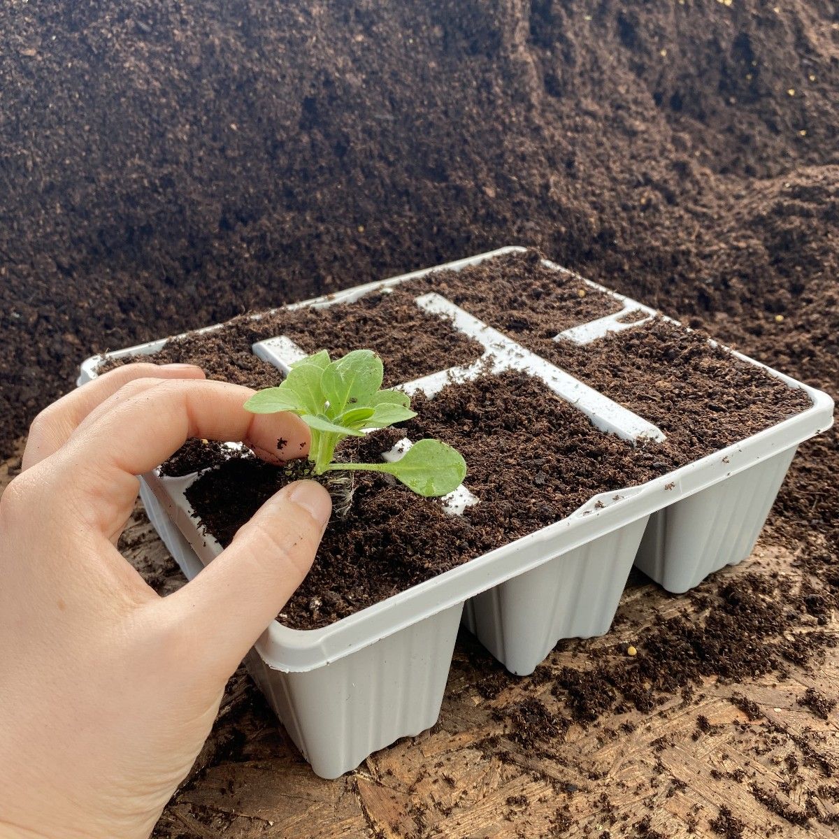 jungle growth potting mix Mother Earth® J.A.W.S. – Just Add Water Super Soil for Home Growers main image 0