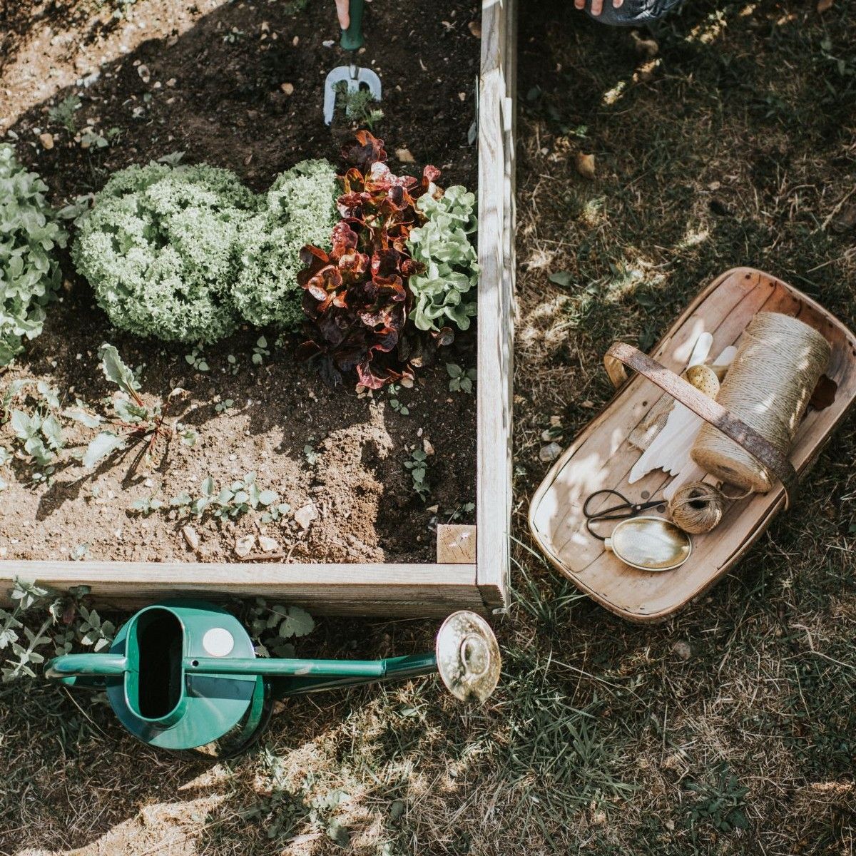 Haws Bearwood Brook Watering Can 1 Gallon (5 Litre) Green Steel