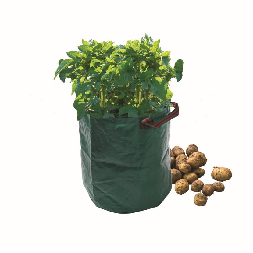 Potato Grow Bag 52 ltr