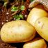 Maris Piper Seed Potatoes | Maincrop 2kg bag