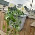 Go IllumiNest Grey / Silver Raised Hanging Solar Fence Planter/Bird Box