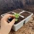 4 Cell Recyclable Grey Plastic Plant Tray | Pack of 10