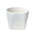 Ceramic Cream Indoor Pot | 13cm