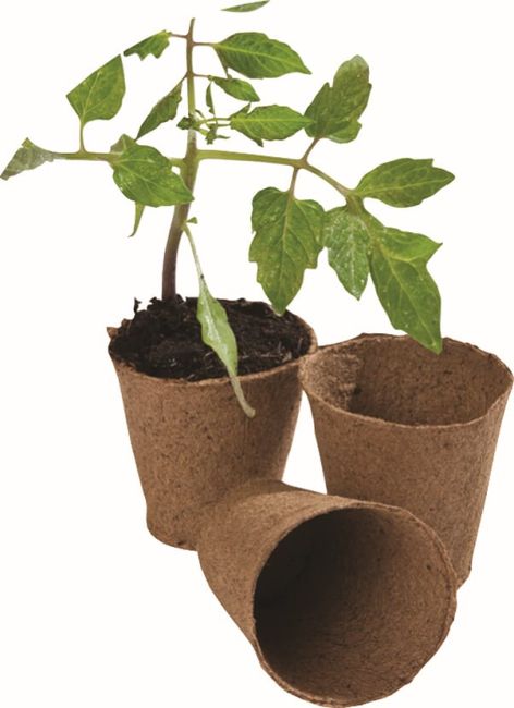 Biodegradable 6cm Round Fibre Plant Pots | Pack of 24