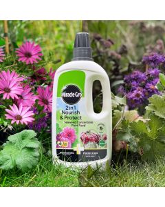 Miracle- Gro 2 in 1 Nourish & Protect Seaweed Plant Food Concentrate | 800 ml