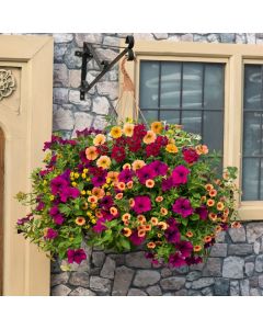 Bollywood EasiPlant Basket | 30cm Hanging Basket Speed Planter
