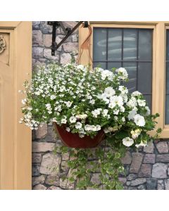 Effortless Chic EasiPlant Basket | 30cm Hanging Basket Speed Planter