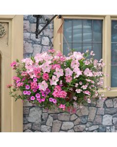 Bridal Bouquet EasiPlant Basket | 30cm Hanging Basket Speed Planter