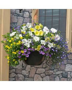 Nautical Chic  EasiPlant Basket | 30cm Hanging Basket Speed Planter