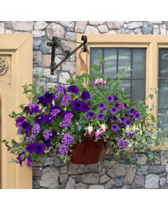 Sea Blues EasiPlant Basket | 30cm Hanging Basket Speed Planter