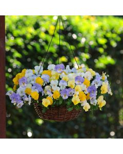 Pansy Cool Wave Pastel Mix | 30cm Hanging Basket Speed Planter