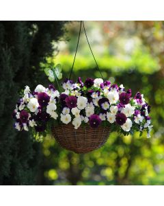 Pansy Cool Wave Berries and Cream Mix | 30cm Hanging Basket Speed Planter
