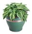 Self Adhesive Slug and Snail Repellent Copper Tape (4m)