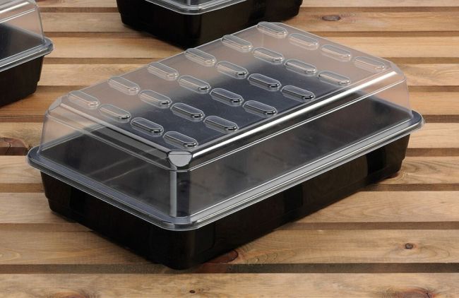 Large Budget Propagator for Plants and Seeds (with Holes)