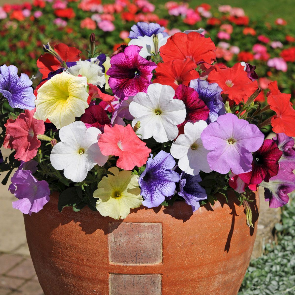 Frühlings-Kunstpetunien aus Seide, UV-beständig, farbecht, Blumen